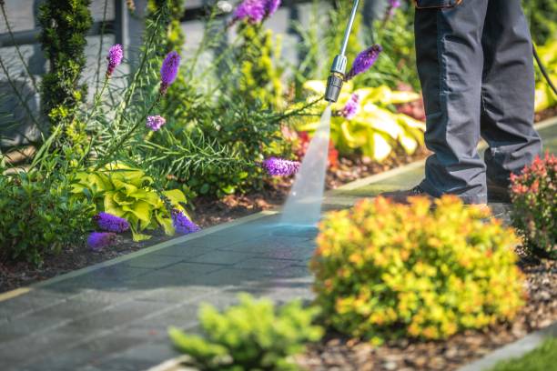 Best Patio and Deck Pressure Washing  in Box Elder, SD